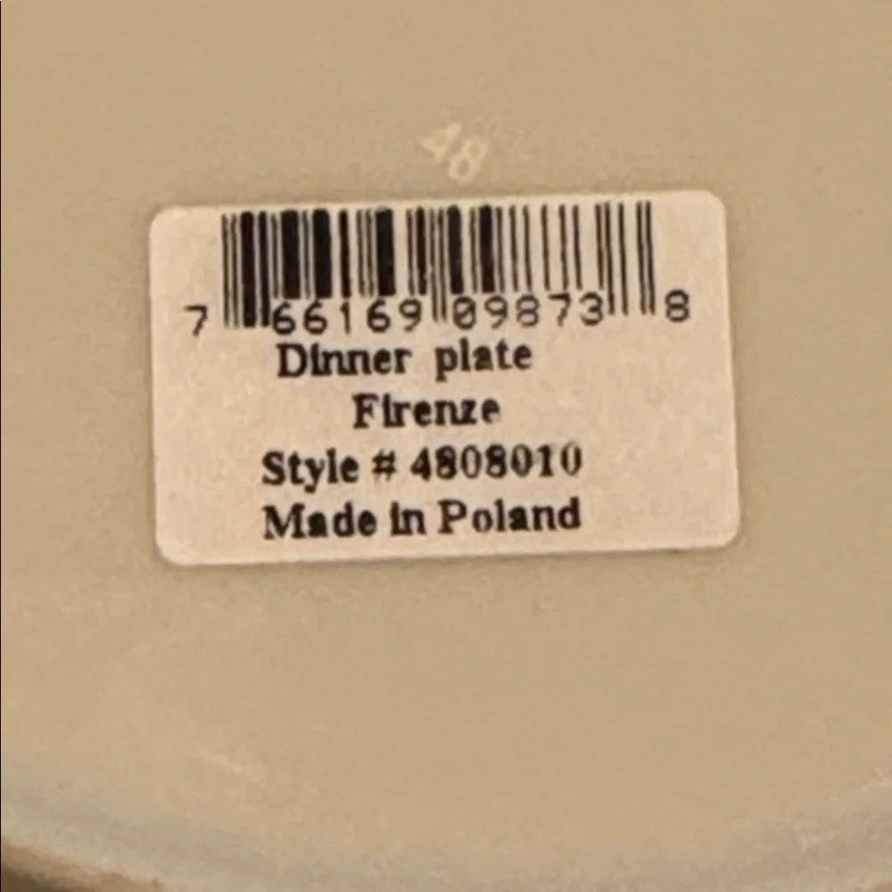 NWT Waverly FIRENZE Dinner Plate 10 1/2” Fruit Grapes Apples Plums Tan Poland